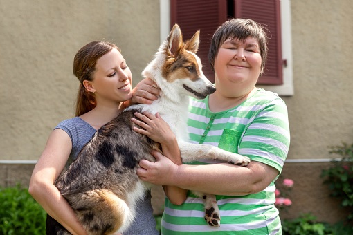 The Benefits of Emotional Support Animals
